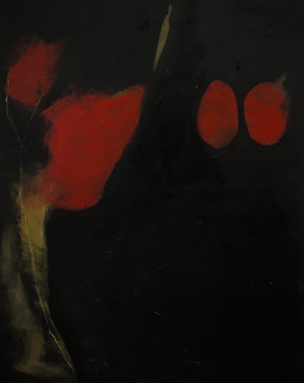 Night blooms by Megan Chapman