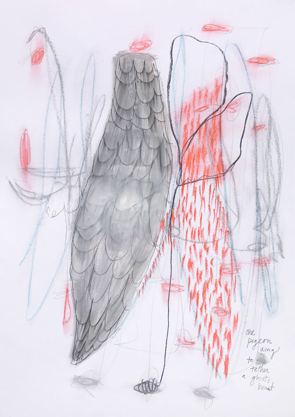 One pigeon wing to tether a ghost's heart by Megan Chapman