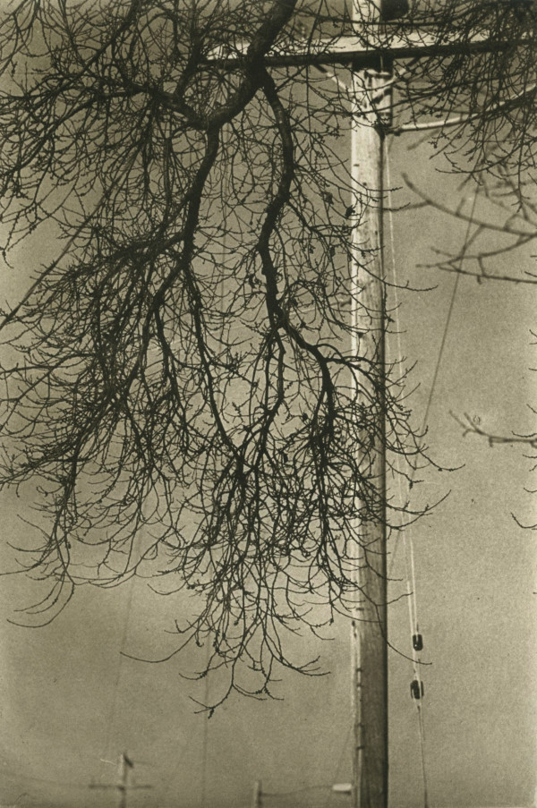 Suite San Rafael, #1 by Unai San Martin