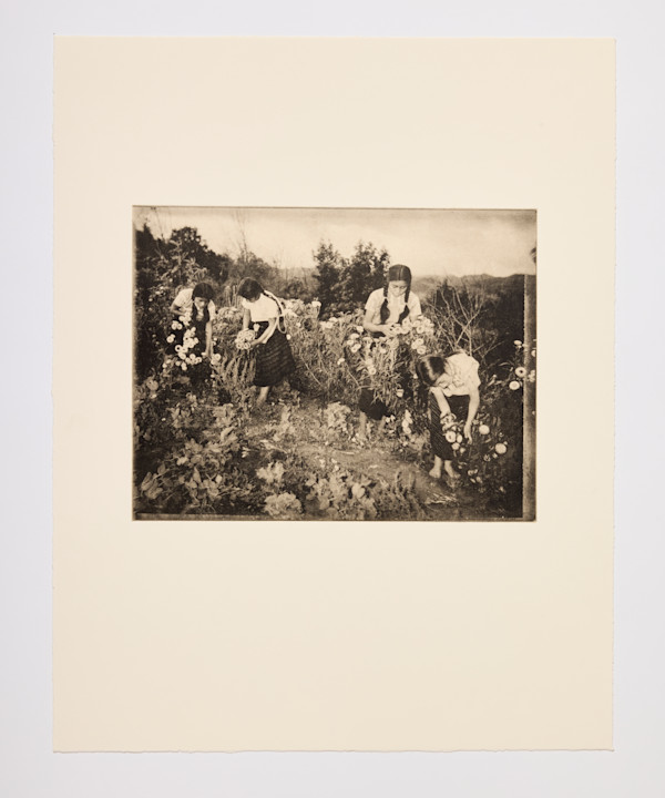 Salvador Gomez Jimenez, My friends are picking flowers by Wendy Ewald