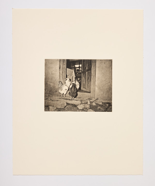 Vladamir Stalin Becerril Vargas, The hens going into the kitchen by Wendy Ewald