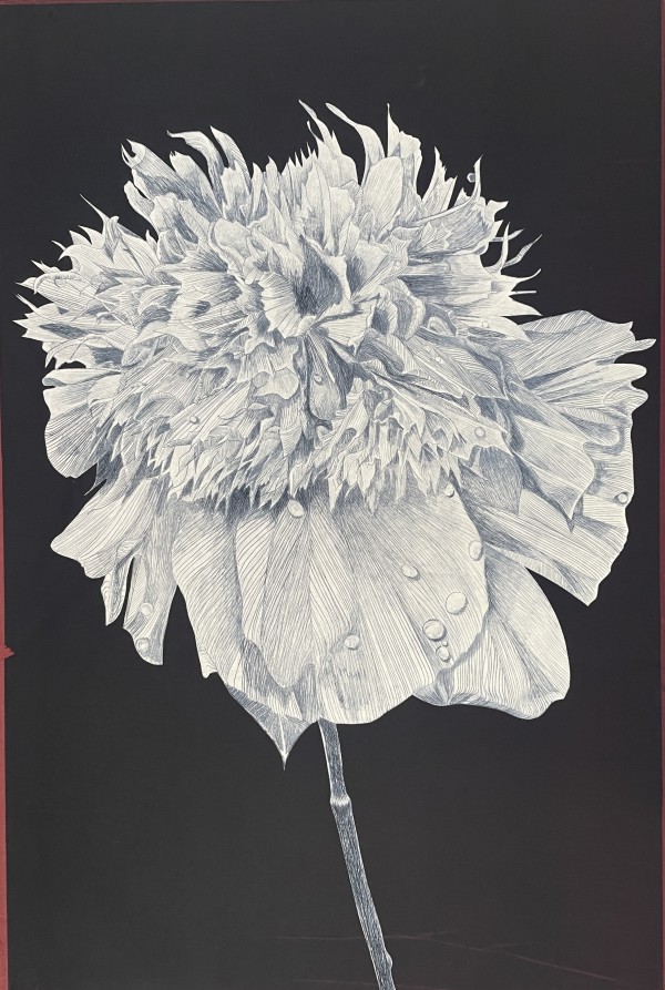 Fidelity (Indigo) by Storm Tharp