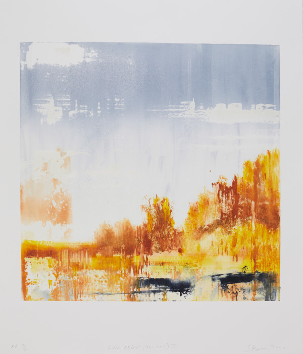 Lviv Oblast (06-2015) Version III 2/4