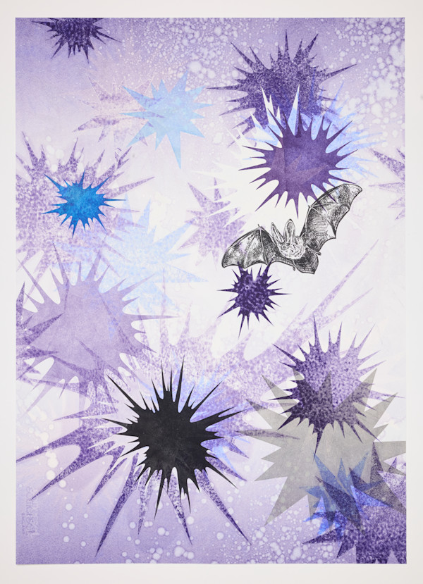 Nocturne #2 (Townsend's big-eared bat) by Kara Maria