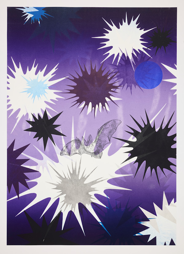 Nocturne #4 (Townsend's big-eared bat) by Kara Maria