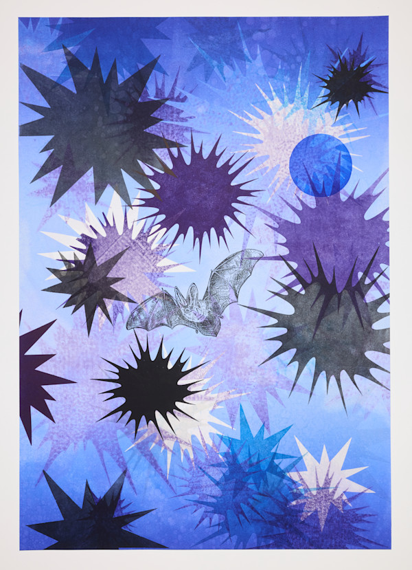 Nocturne #5 (Townsend's big-eared bat) by Kara Maria