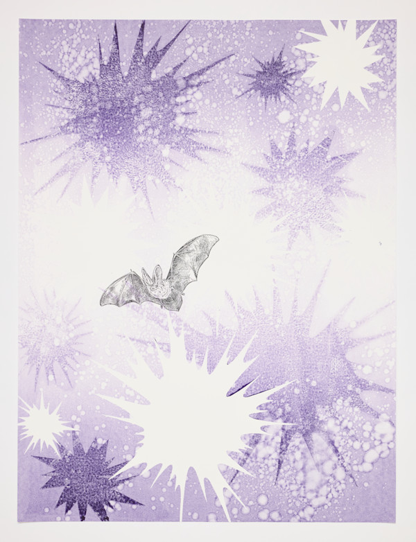 Nocturne #6 (Townsend's big-eared bat) by Kara Maria