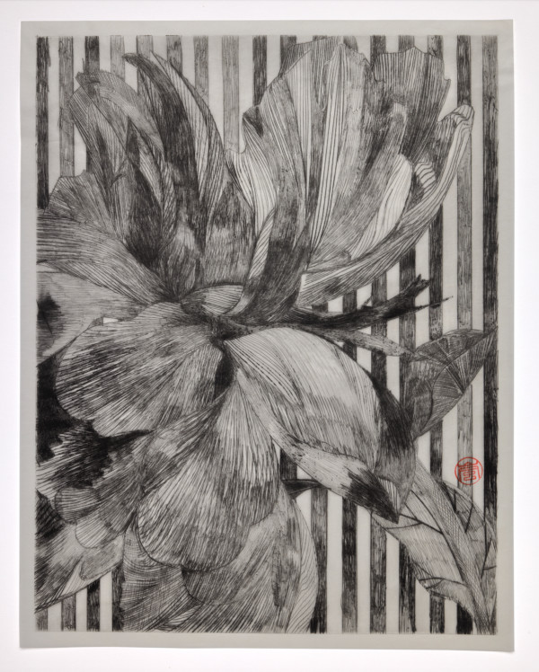 Peony with Stripe by Storm Tharp