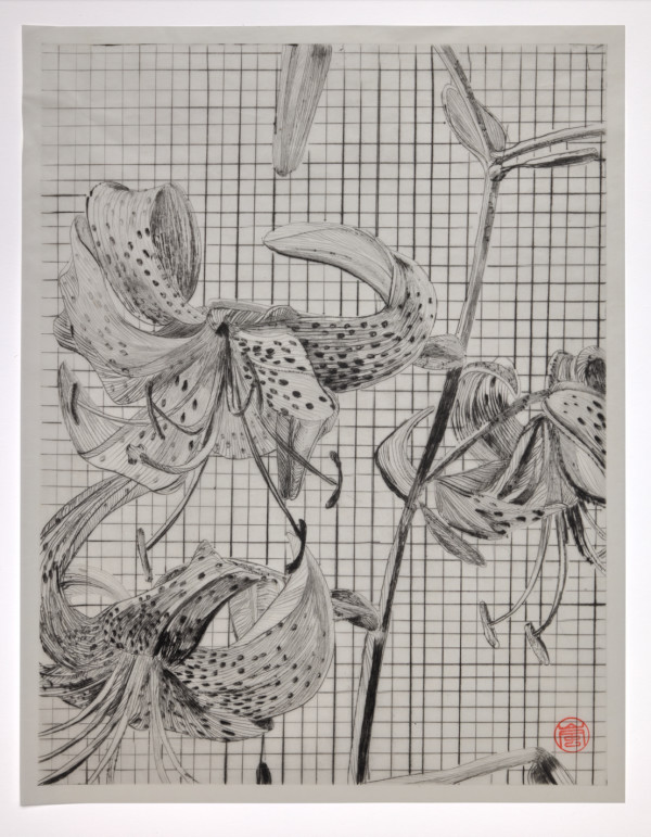 Tiger Lily by Storm Tharp