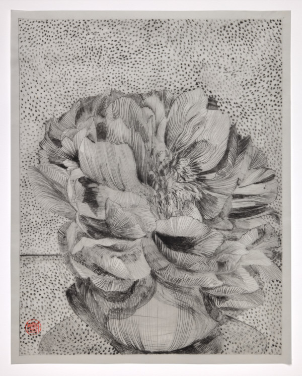 Peony VVG by Storm Tharp