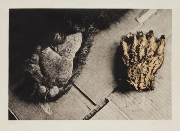 Untitled (From the Series The North) by Kali Spitzer