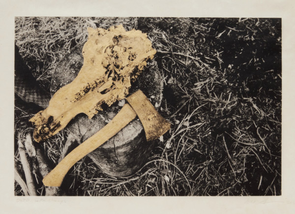 Untitled (From the Series The North) by Kali Spitzer