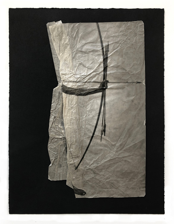 Afterimages (Deflection of Vision) by Stephanie Syjuco, Image 1.