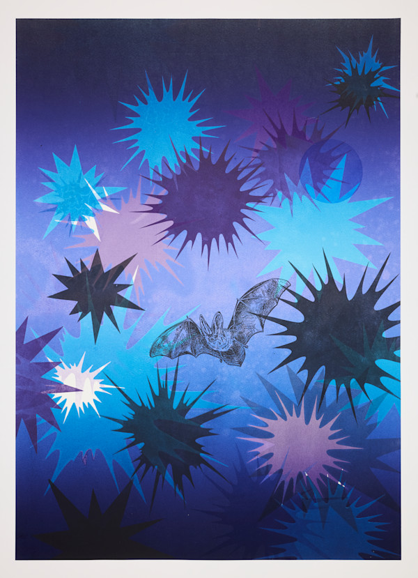 Nocturne #1 (Townsend's big-eared bat) by Kara Maria