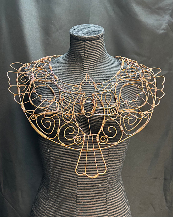 Tears of a copper dawn by Shaun Brayfield