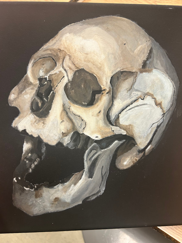 Skull by Zella Niupalau