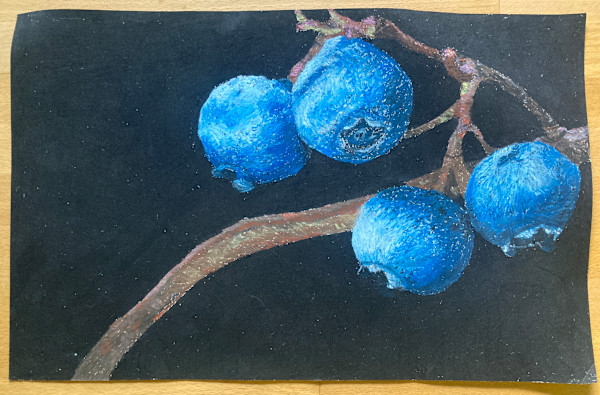 Blueberries at Night by Lucy Johnson