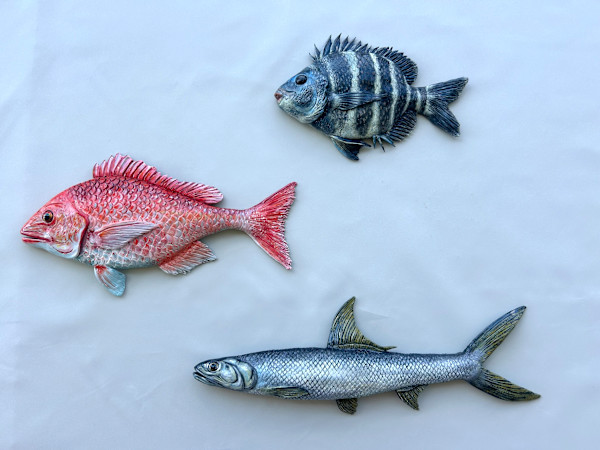 Catch of the Day by Morgan Gaboric