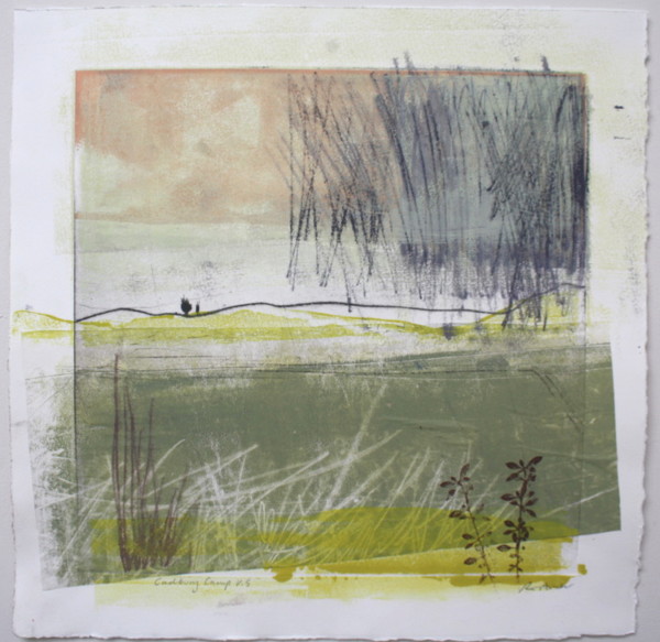 Cadbury Camp v.5 by Ruth Ander