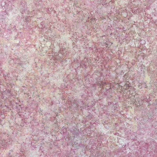 The Color of Love by Lori Latham, Image 1.