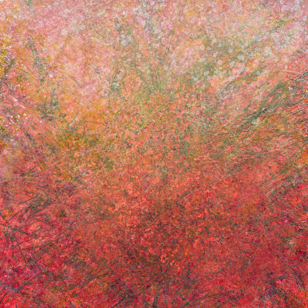 Blossoms by Lori Latham, Image 1.