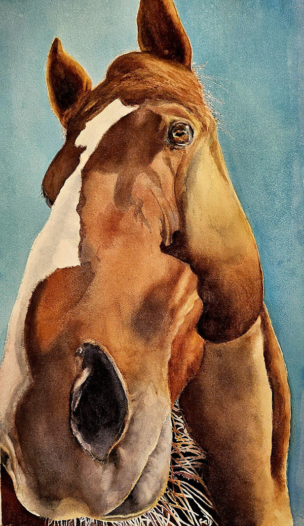High Watch by Merri Chester