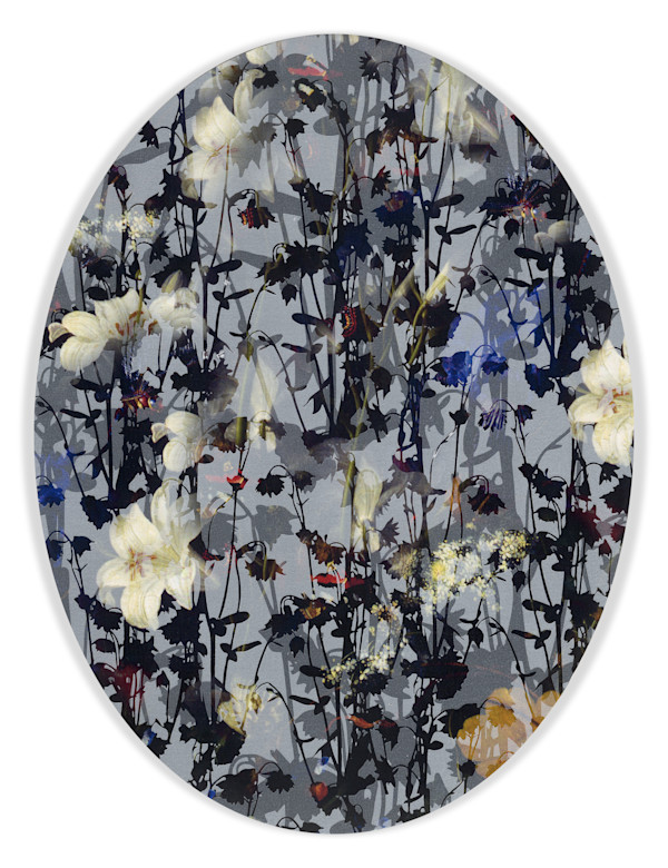 In the Looking Glass (Kaleidoscopic Florals 7) by J Myszka Lewis