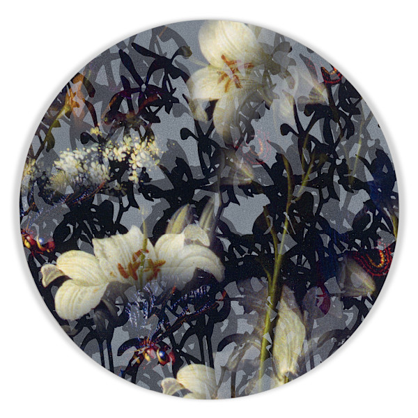 Kaleidoscopic Floral Study 11 by J Myszka Lewis