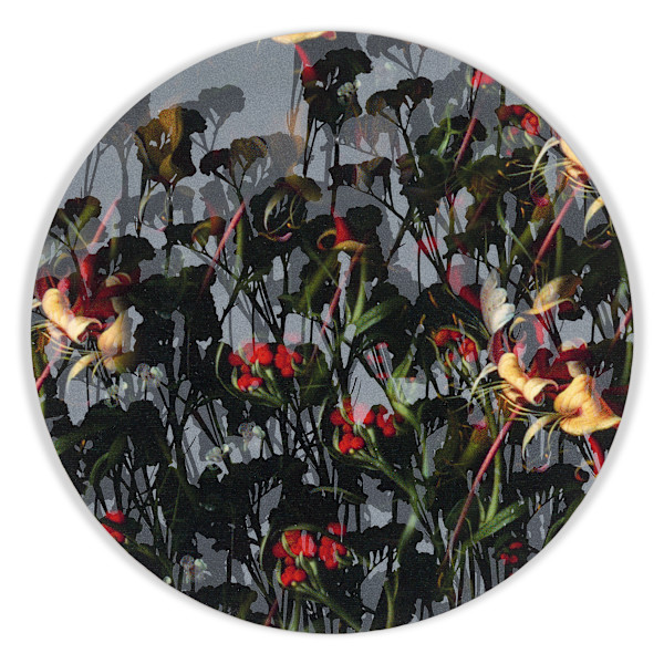 Kaleidoscopic Floral Study 17 by J Myszka Lewis