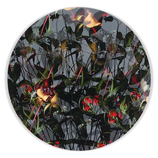 Kaleidoscopic Floral Study 18 by J Myszka Lewis