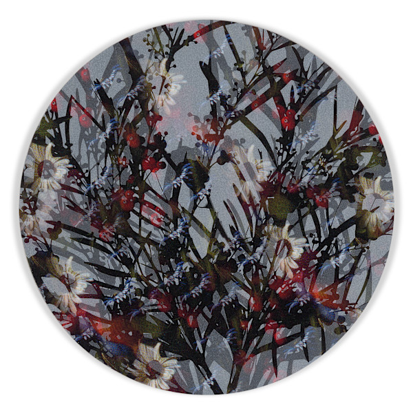 Kaleidoscopic Floral Study 22 by J Myszka Lewis