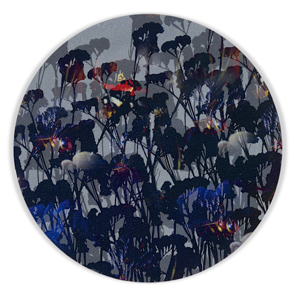 Kaleidoscopic Floral Study 8 by J Myszka Lewis