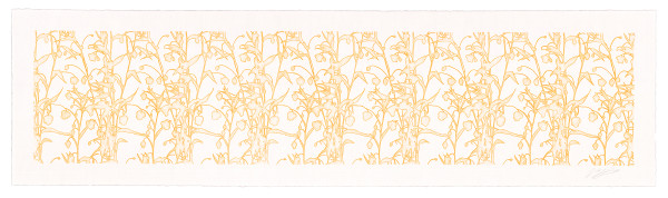 Lace study 2 (golden lantern lily) by J Myszka Lewis