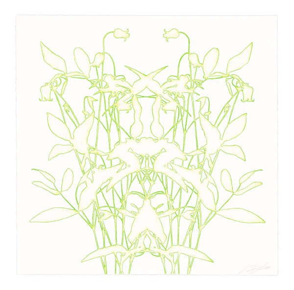 Lace study 6 (bell clematis) by J Myszka Lewis