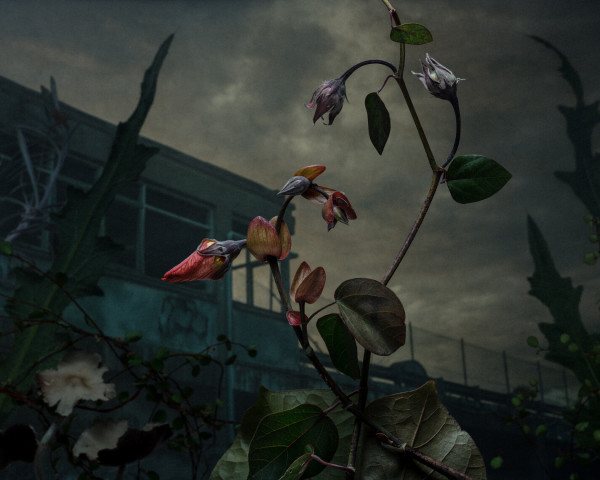 Data Hub Aberration 7/10