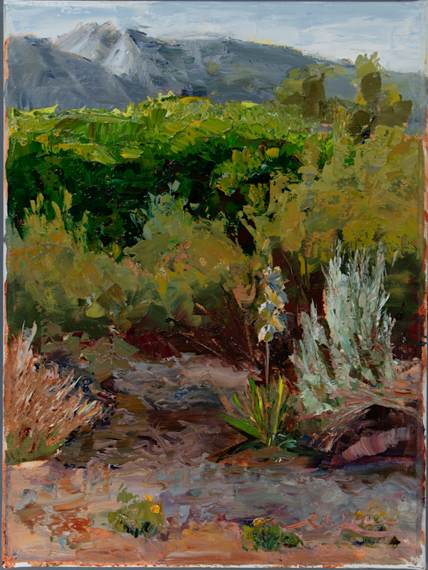 Pathway in Sego Lily Park by Robin Luker, Image 1.