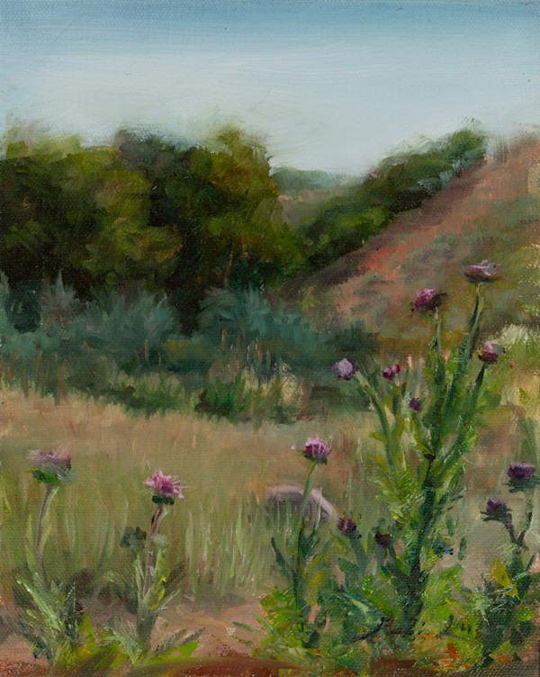 Thistles at East Canyon by Robin Luker, Image 1.
