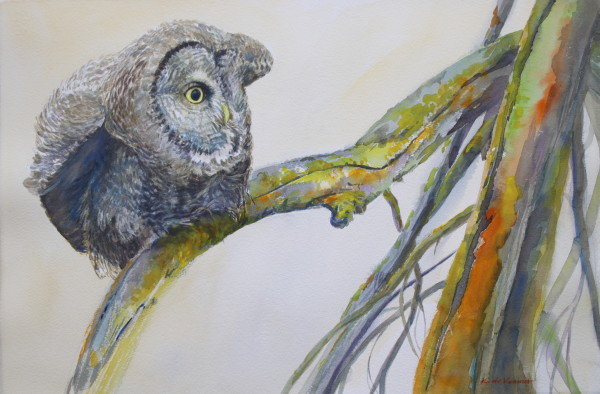 Voal Goal - Great Gray Owl by Karyn deKramer