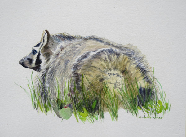 American Badger by Karyn deKramer