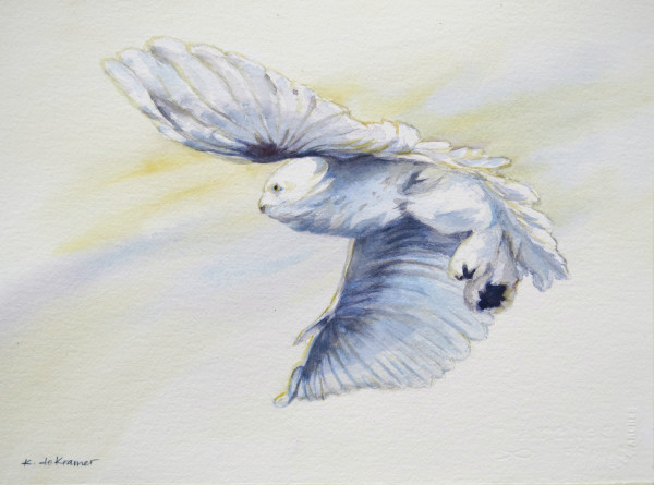 Snowy Owl Flight by Karyn deKramer