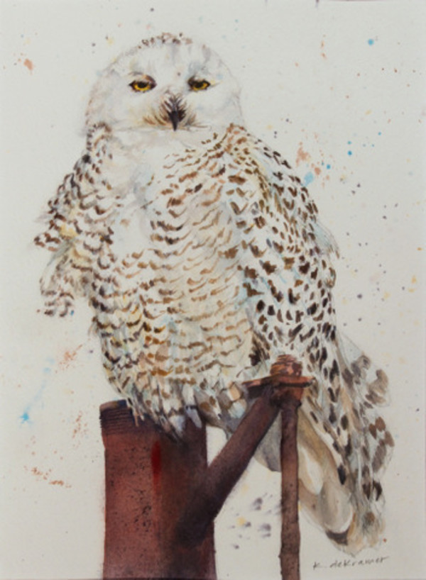 Snowy Owl - portrait/front by Karyn deKramer