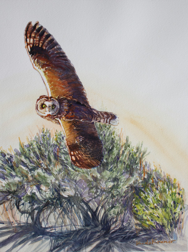 Short-eared Owl  - (Asio flammeus) by Karyn deKramer