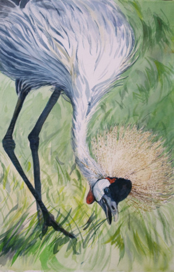 Crown of Feathers - African Crowned Crane by Karyn deKramer