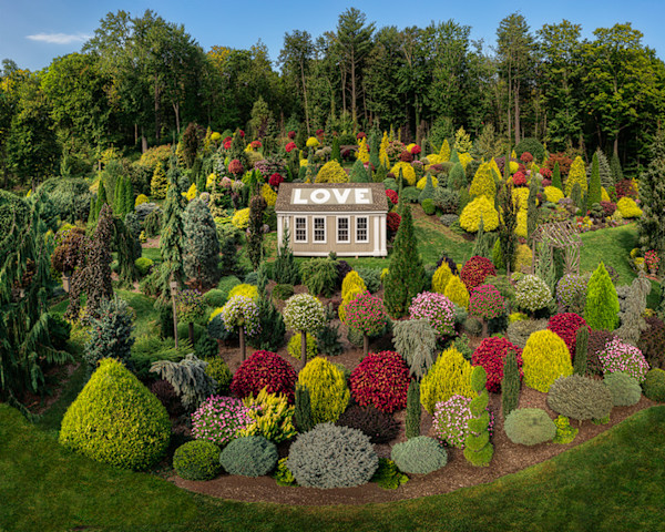 Chrissie's Garden by Steve Silk