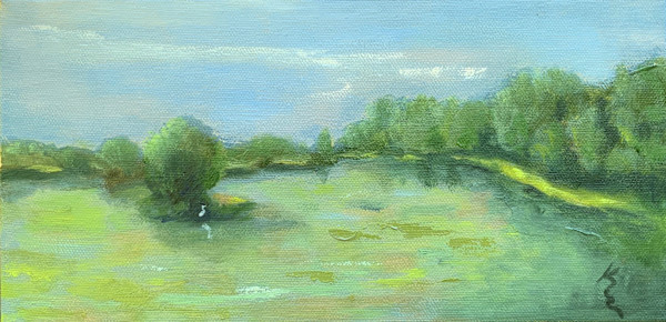 Great Pond by Kate Emery