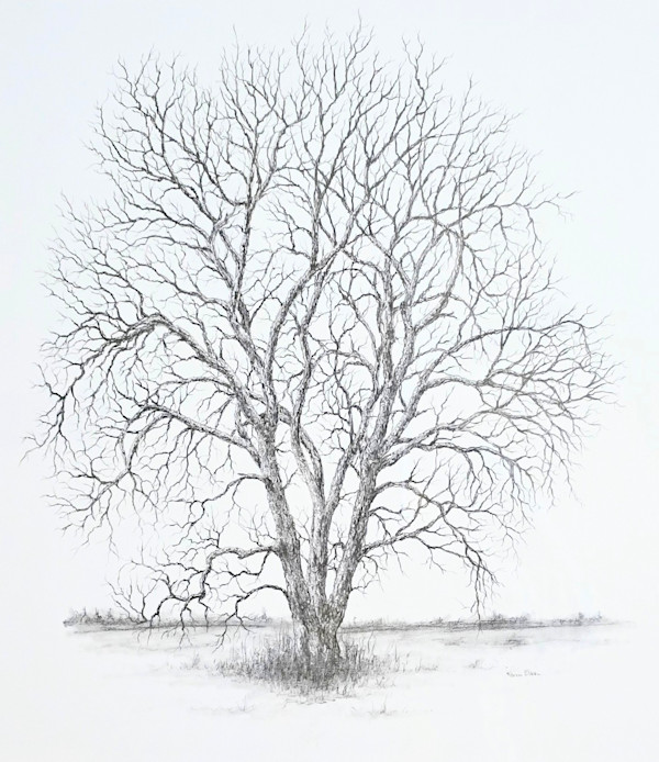 Stark Beauty by Karen Franqui Elkan