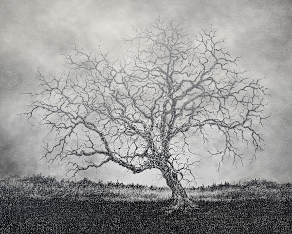 Windswept by Karen Franqui Elkan