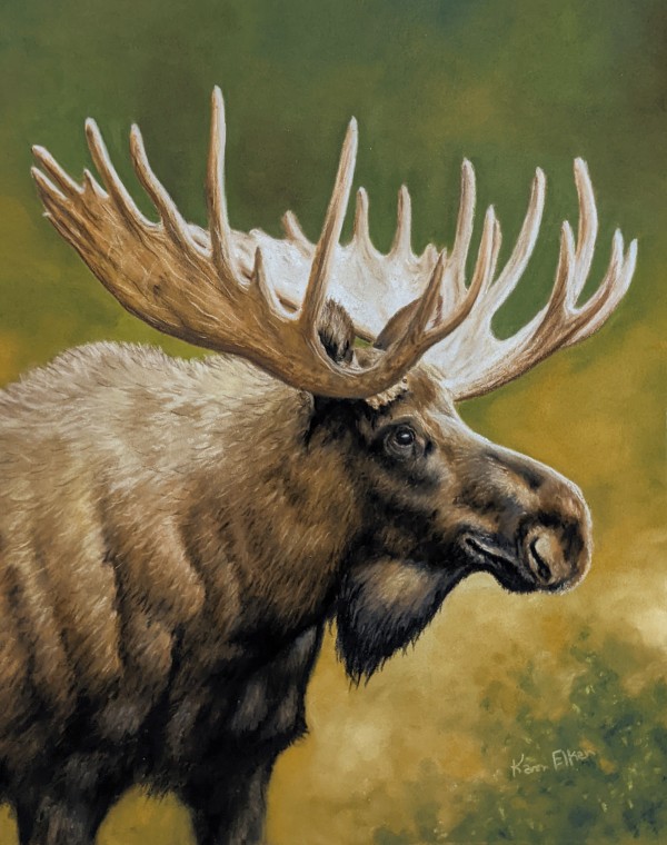 Moose by Karen Franqui Elkan