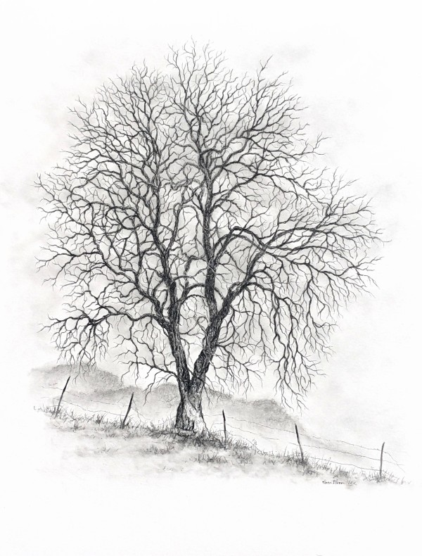 Solitary Tree by Karen Franqui Elkan