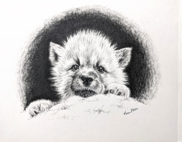Wolf Pup by Karen Franqui Elkan